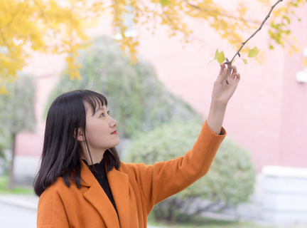 如何办理菲律宾驾照在当地旅游(驾照办理最新方法)